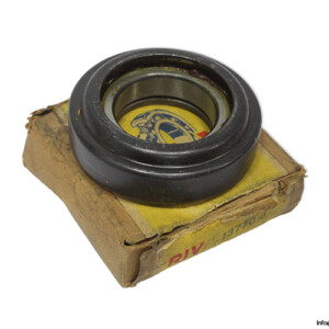 RIV 13770 D Rolling Bearing