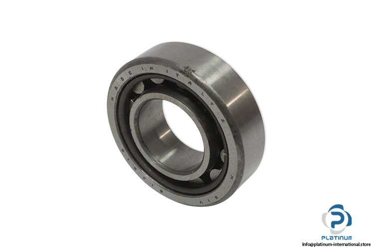 riv-13515-cylindrical-roller-bearing(new-carton)