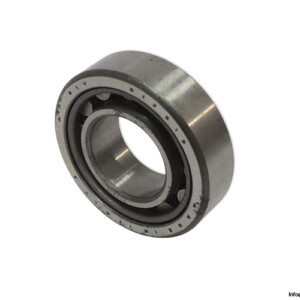 RIV 13515 Cylindrical Roller Bearing