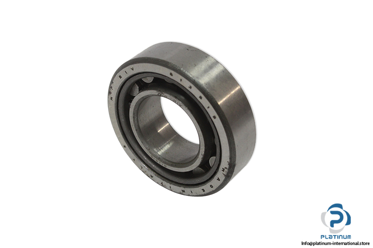 riv-13515-cylindrical-roller-bearing(new-without-carton)
