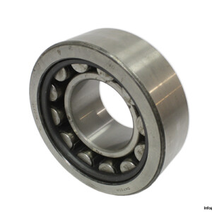 Dkfddr NU 2317 Cylindrical Roller Bearing