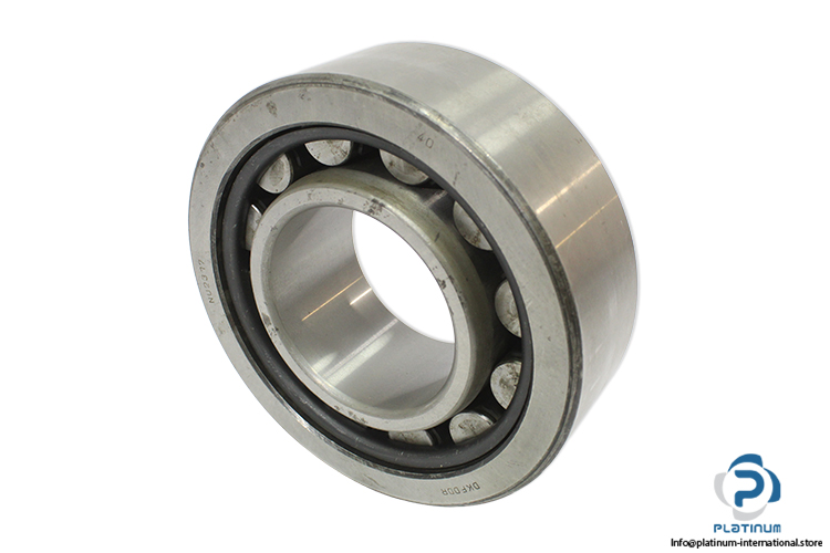 dkfddr-NU2317-cylindrical-roller-bearing(new-without-carton)-1