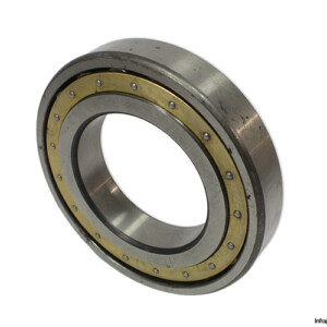 FAG 20217 Barrel Roller Bearing
