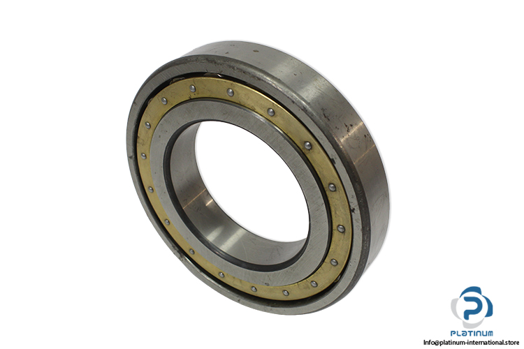 fag-20217-barrel-roller-bearing(used-without-carton)