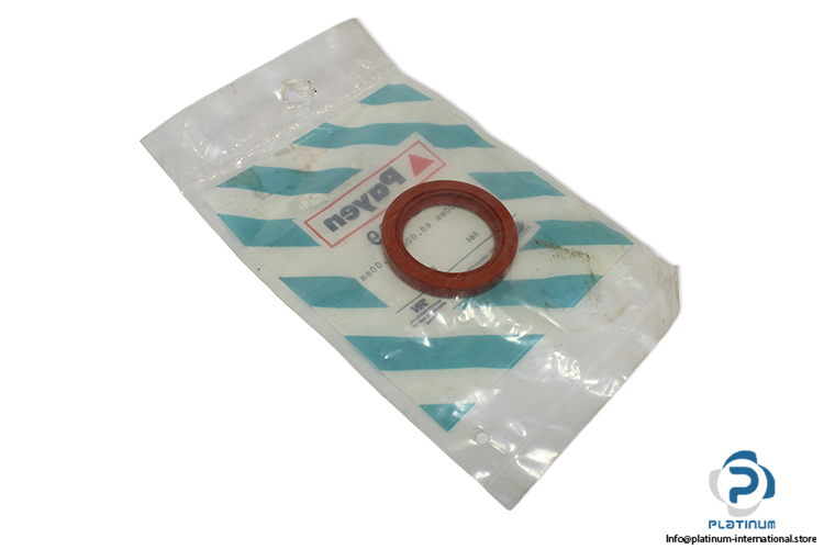 payen-NB699-seal-kit-(New)