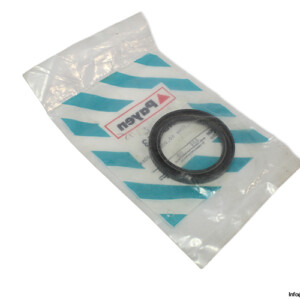payen-NB773-seal-kit-(New)