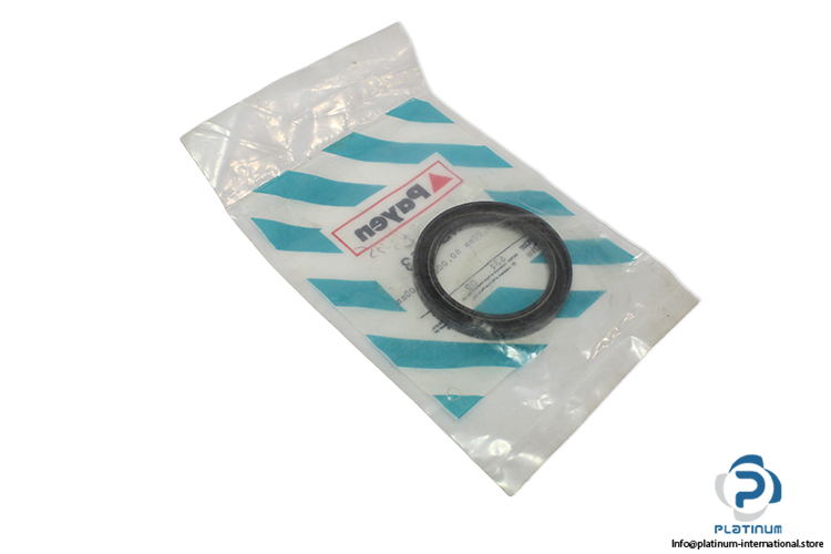 payen-NB773-seal-kit-(New)