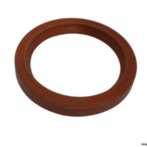 Payen NB289 Seal KIT