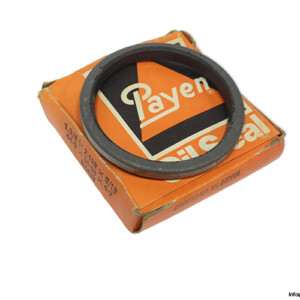 Payen NA433 Seal KIT