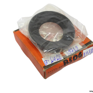 Payen B506 Seal KIT