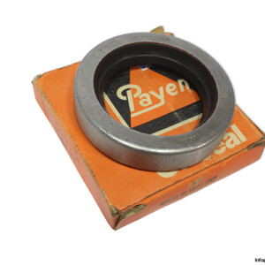 Payen NA300 Seal KIT