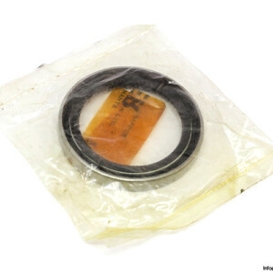 Payen NA521 Seal KIT