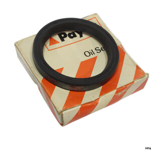 Payen NA448 Seal KIT