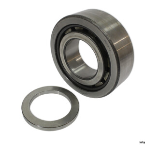 Dkfddr NUP 2317 Cylindrical Roller Bearing