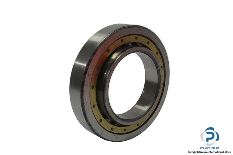 dkfddr-nul-90-cylindrical-roller-bearing(new-without-carton)-1