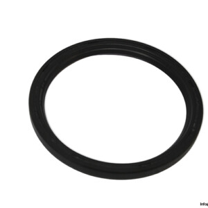 Supra NA 579 Seal KIT