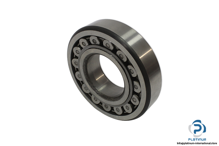 RIV-BRS50-spherical-roller-bearing(new-without-carton)