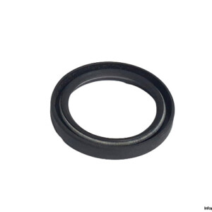 payen-NA546-seal-kit-(New).jpg