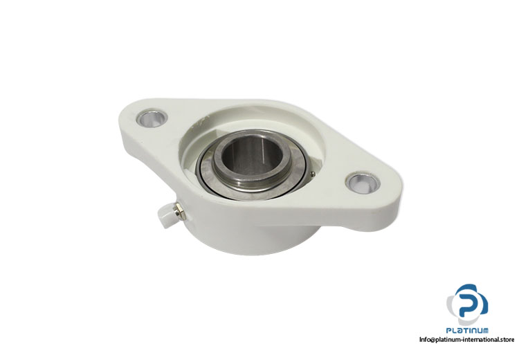 UCFLP-205-2-bolt-Oval-flange-ball-bearing-unit-(new)-(carton)-1