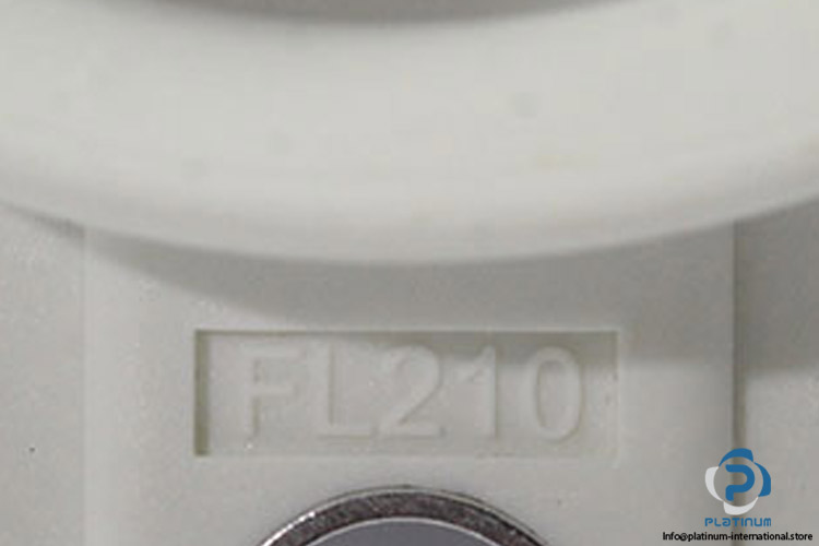 UCFLP-210-2-bolt-Oval-flange-ball-bearing-unit-(new)-(carton)-3