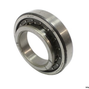 RIV 9 Dav/Q Cylindrical Roller Bearing