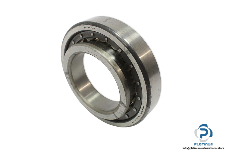 riv-9-DAV_Q-cylindrical-roller-bearing-(new)