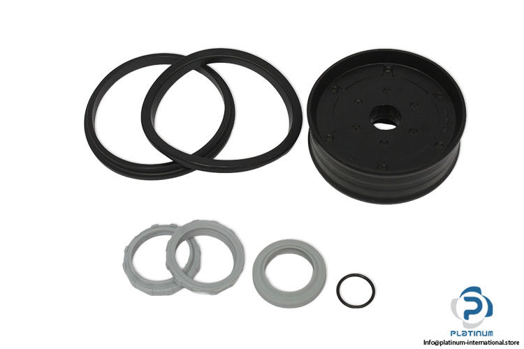 pneumax-RG1319_0005-seal-kit-(New)