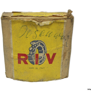 RIV 5 Dapv Cylindrical Roller Bearing