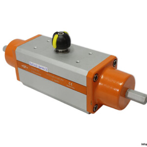gf-198800757-pneumatic-actuator-(New)