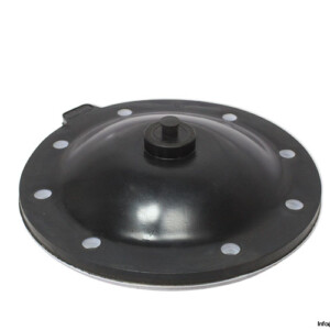 Gemu MG 100 Diaphragm