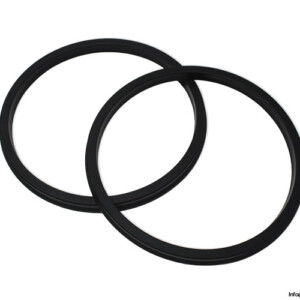 PGY-200 Seal KIT