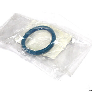 bos-T86102-rubber-gasket-(New).jpg