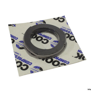 cook-209241LHU-seal-kit-(New).jpg