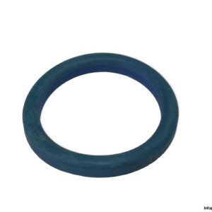 bos-T86106-rubber-gasket-(New).jpg