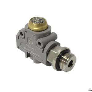 Pneumax 55116100M2XX Quick Exhaust Valve