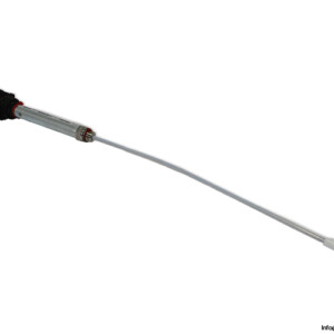 Gestra LRG 16-4 Conductivity Electrode