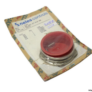 neles-250079-seal-kit-(New)