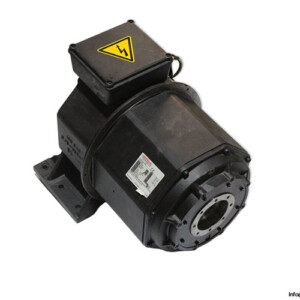 oswalo-mfs16.12wi-synchronous-motor(new)