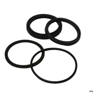 Parker RK2AHL0251 Seal KIT