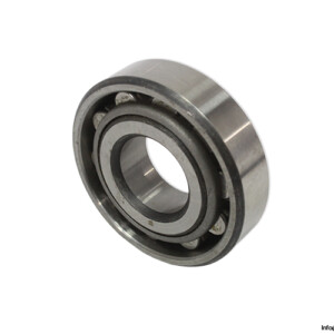 riv-6DBQ_25-cylindrical-roller-bearing-(new)