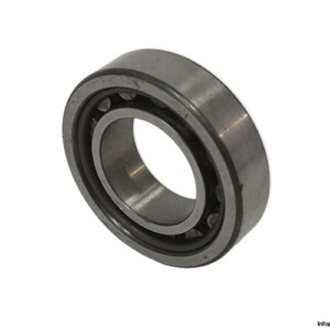 fag-NU-1005-cylindrical-roller-bearing-(new)