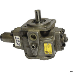 Hydraulik Ring PVS 08H063B1 Vane Pump