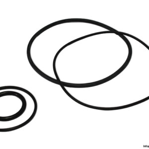 neles-BC16-seal-kit-(New)