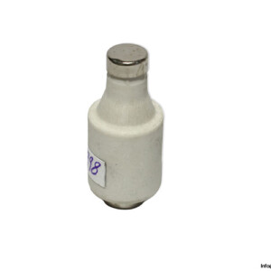 DII F 20A 500V Bottle Fuse