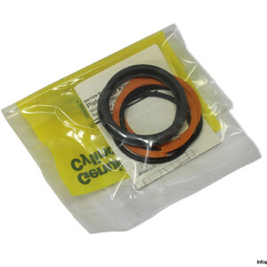 Parker PK2502A001 Piston Seal KIT