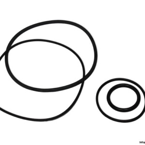 Valmet BC16 250501 Seal KIT