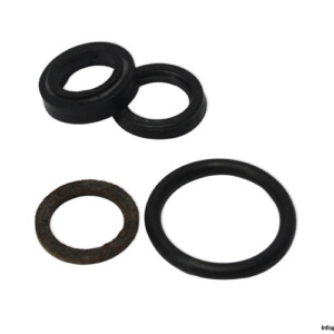 Parker RK2AHL061 ROD Seal KIT