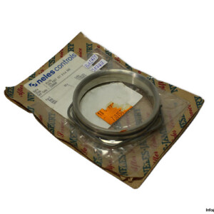 neles-250080-seal-kit-(New)