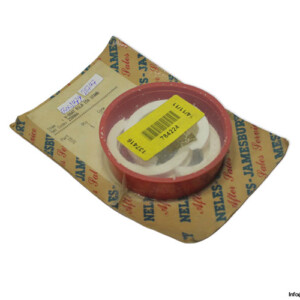 neles-250866-seal-kit-(New)