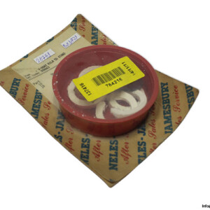 Neles-Jamesbury V-Osat R1LA 50 Stand 250863 Seal KIT